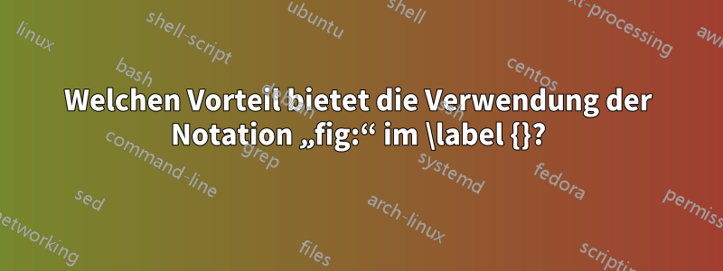 Welchen Vorteil bietet die Verwendung der Notation „fig:“ im \label {}?
