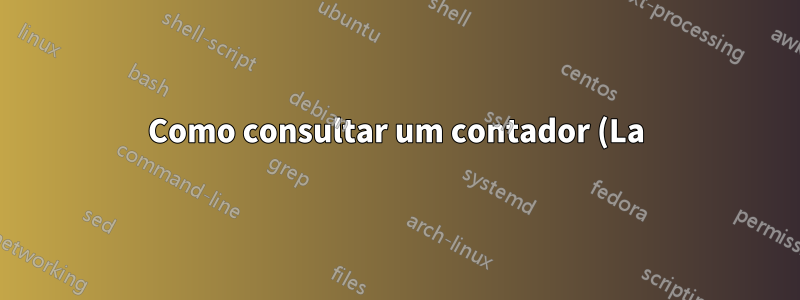 Como consultar um contador (La)TeX no início do documento?