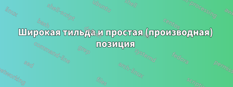 Широкая тильда и простая (производная) позиция