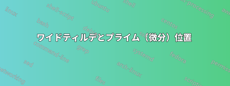 ワイドティルデとプライム（微分）位置
