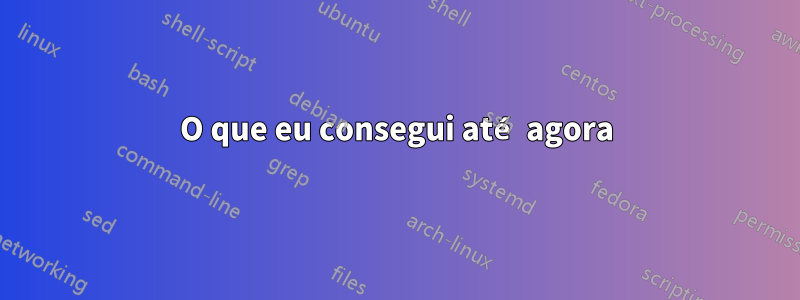 O que eu consegui até agora