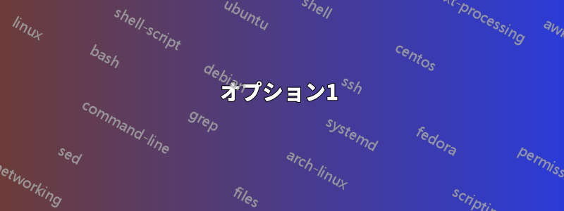 オプション1