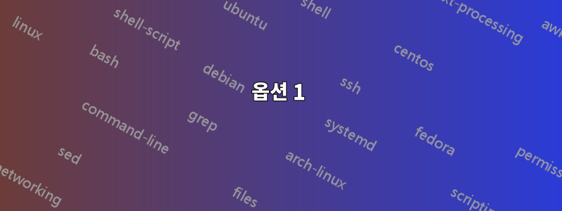 옵션 1