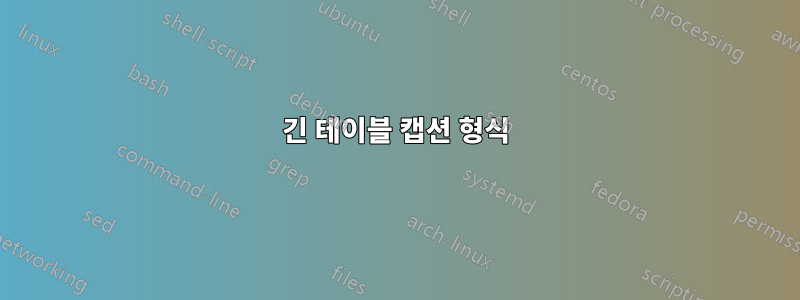 긴 테이블 캡션 형식