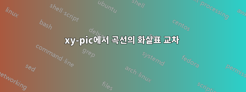 xy-pic에서 곡선의 화살표 교차