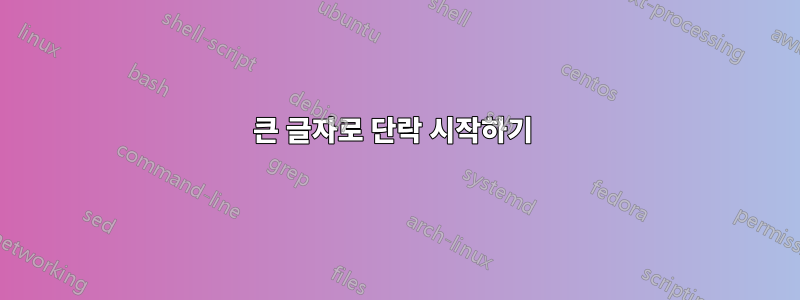 큰 글자로 단락 시작하기 