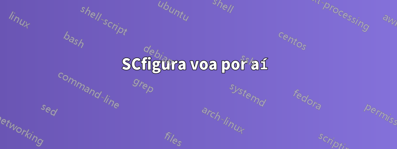 SCfigura voa por aí