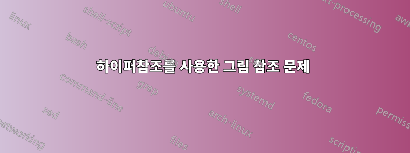 하이퍼참조를 사용한 그림 참조 문제