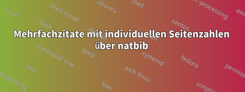Mehrfachzitate mit individuellen Seitenzahlen über natbib