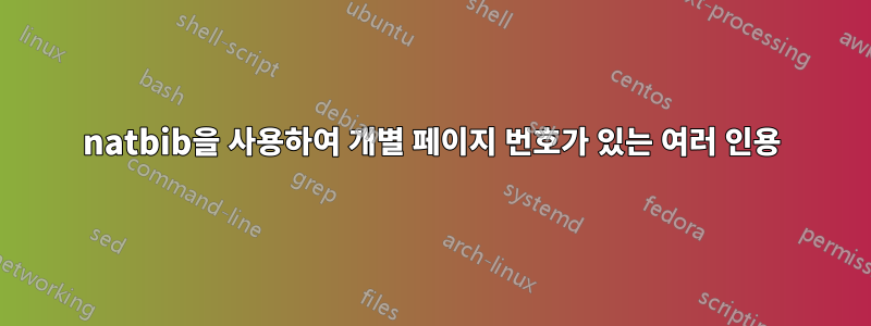 natbib을 사용하여 개별 페이지 번호가 있는 여러 인용