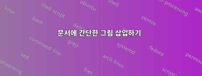 문서에 간단한 그림 삽입하기 