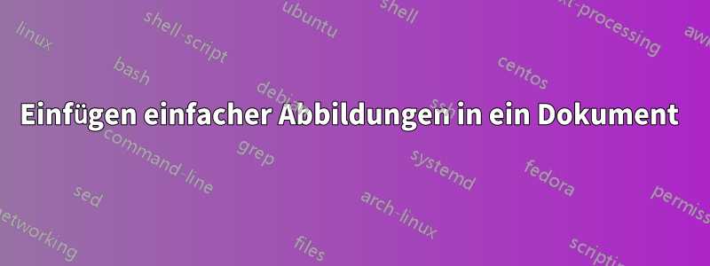 Einfügen einfacher Abbildungen in ein Dokument 