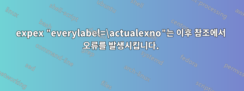 expex "everylabel=\actualexno"는 이후 참조에서 오류를 발생시킵니다.