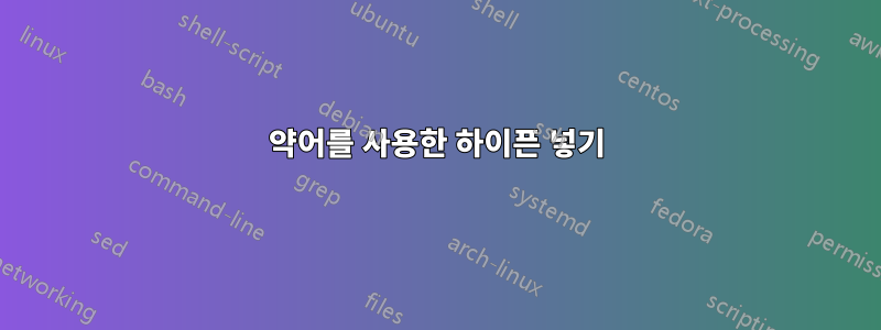 약어를 사용한 하이픈 넣기