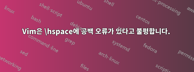 Vim은 \hspace에 공백 오류가 있다고 불평합니다.