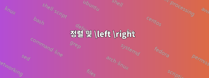 정렬 및 \left \right 