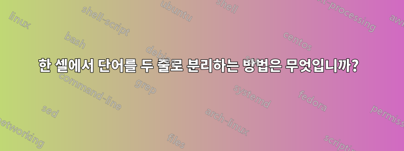 한 셀에서 단어를 두 줄로 분리하는 방법은 무엇입니까?