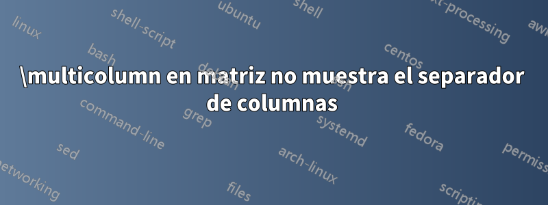 \multicolumn en matriz no muestra el separador de columnas