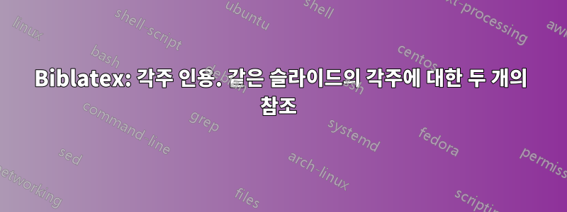 Biblatex: 각주 인용. 같은 슬라이드의 각주에 대한 두 개의 참조 