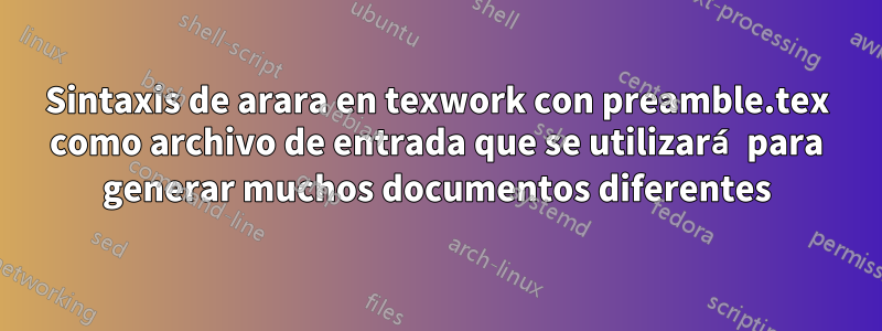 Sintaxis de arara en texwork con preamble.tex como archivo de entrada que se utilizará para generar muchos documentos diferentes