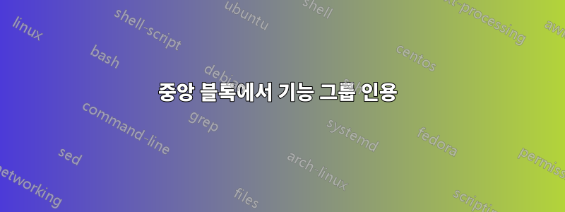 중앙 블록에서 기능 그룹 인용 