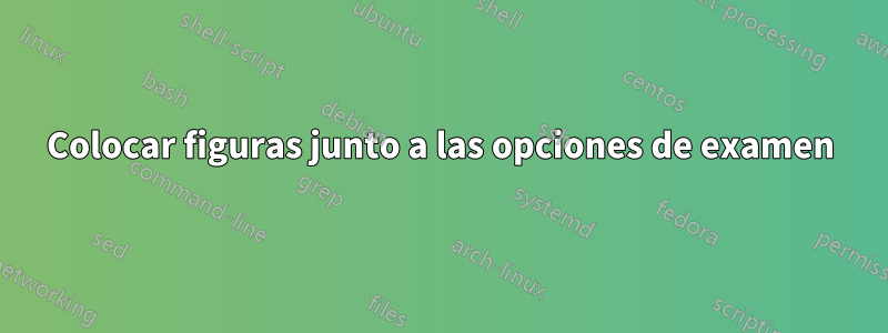 Colocar figuras junto a las opciones de examen