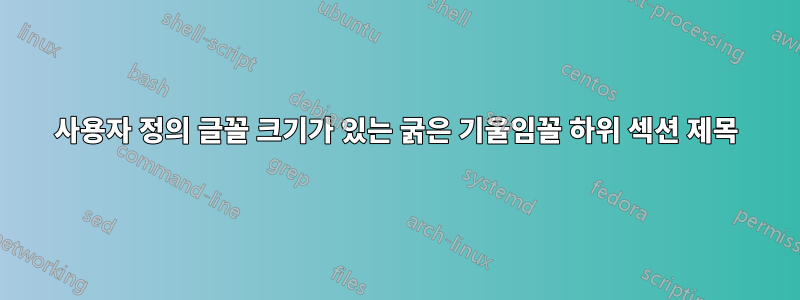 사용자 정의 글꼴 크기가 있는 굵은 기울임꼴 하위 섹션 제목