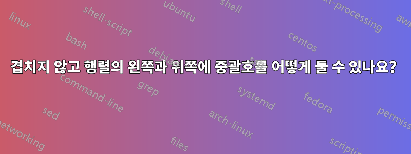 겹치지 않고 행렬의 왼쪽과 위쪽에 중괄호를 어떻게 둘 수 있나요?