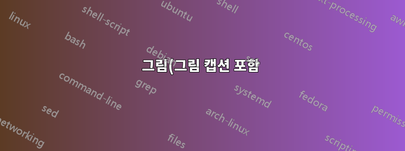 그림(그림 캡션 포함)이 나란히 있는 표입니다.
