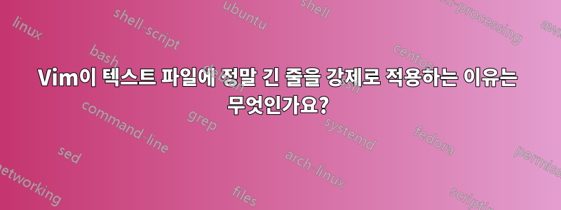 Vim이 텍스트 파일에 정말 긴 줄을 강제로 적용하는 이유는 무엇인가요?