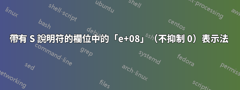 帶有 S 說明符的欄位中的「e+08」（不抑制 0）表示法