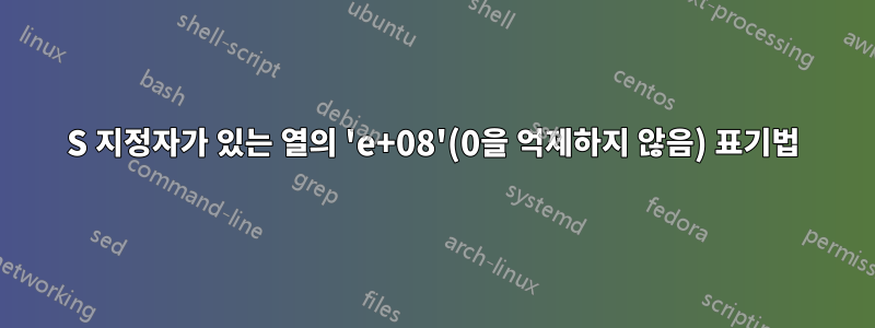 S 지정자가 있는 열의 'e+08'(0을 억제하지 않음) 표기법