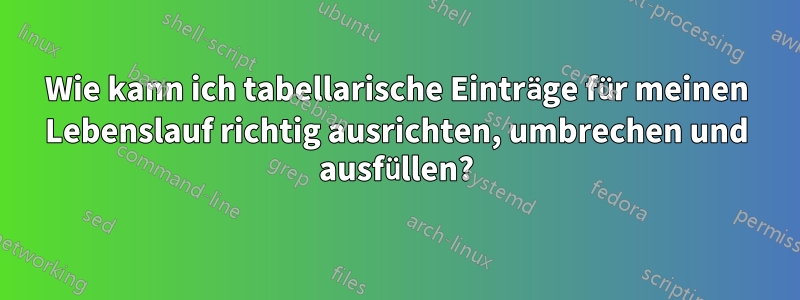 Wie kann ich tabellarische Einträge für meinen Lebenslauf richtig ausrichten, umbrechen und ausfüllen?