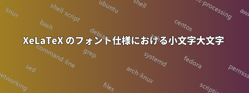 XeLaTeX のフォント仕様における小文字大文字