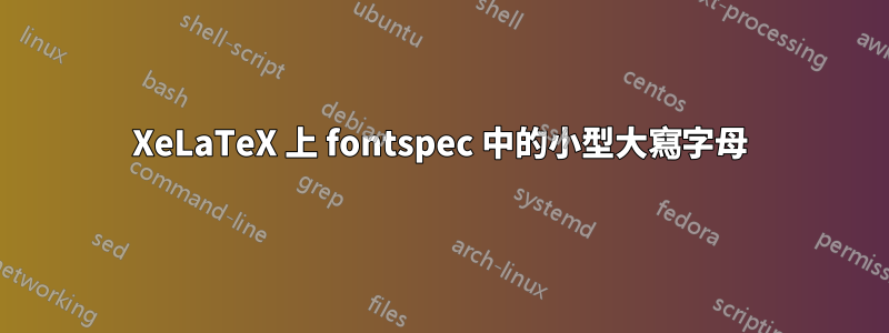 XeLaTeX 上 fontspec 中的小型大寫字母