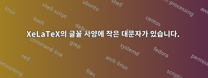 XeLaTeX의 글꼴 사양에 작은 대문자가 있습니다.