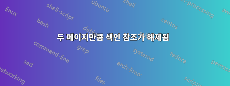 두 페이지만큼 색인 참조가 해제됨 