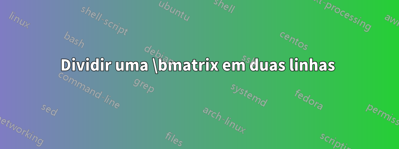 Dividir uma \bmatrix em duas linhas