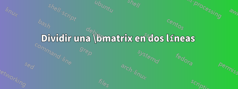 Dividir una \bmatrix en dos líneas