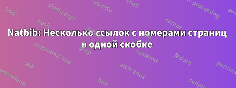 Natbib: Несколько ссылок с номерами страниц в одной скобке