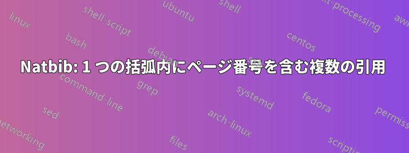 Natbib: 1 つの括弧内にページ番号を含む複数の引用