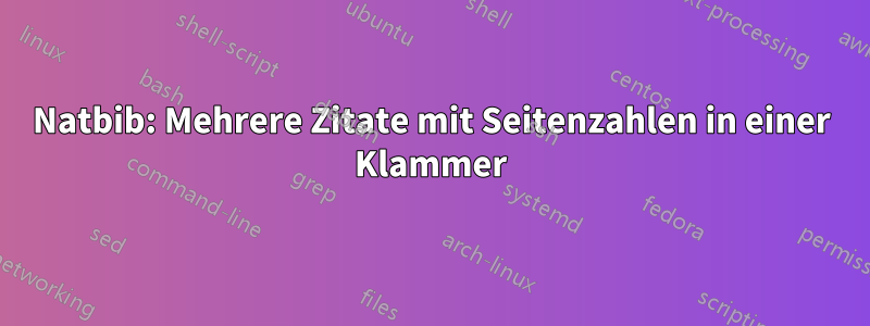 Natbib: Mehrere Zitate mit Seitenzahlen in einer Klammer