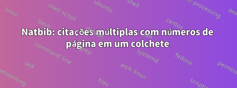 Natbib: citações múltiplas com números de página em um colchete