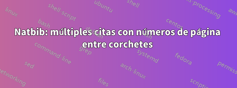 Natbib: múltiples citas con números de página entre corchetes