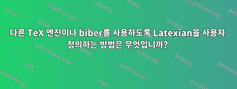 다른 TeX 엔진이나 biber를 사용하도록 Latexian을 사용자 정의하는 방법은 무엇입니까?