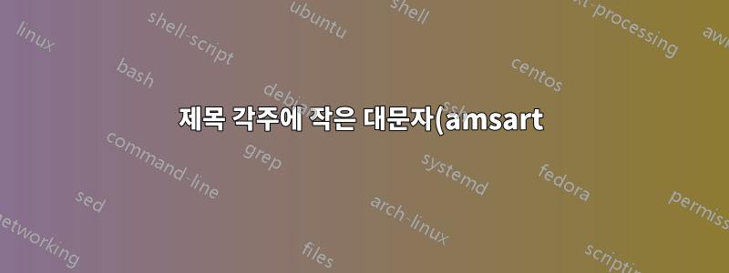 제목 각주에 작은 대문자(amsart)