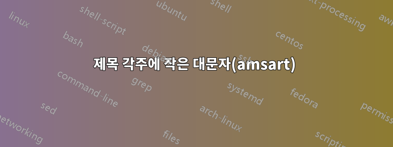 제목 각주에 작은 대문자(amsart)