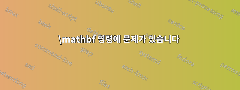 \mathbf 명령에 문제가 있습니다