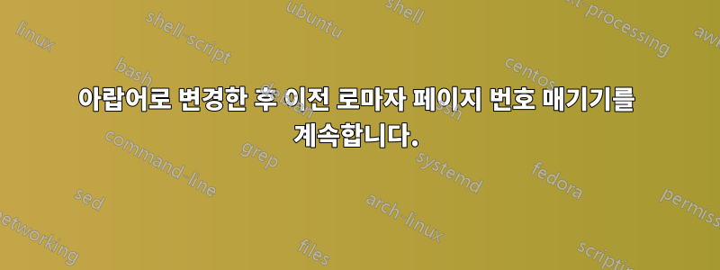 아랍어로 변경한 후 이전 로마자 페이지 번호 매기기를 계속합니다.