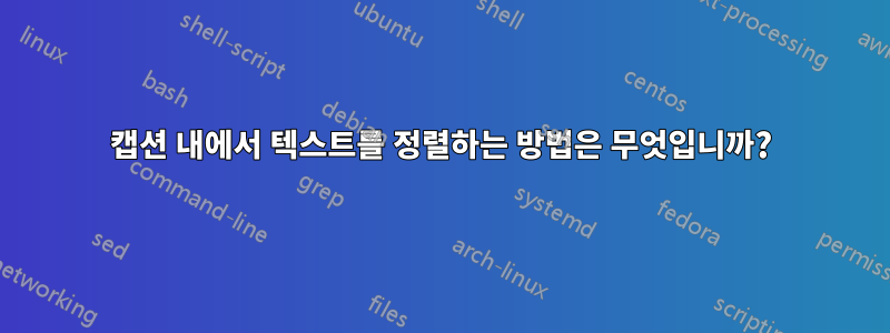 캡션 내에서 텍스트를 정렬하는 방법은 무엇입니까?